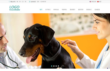 响应式自应式宠物医院网站html静态模板