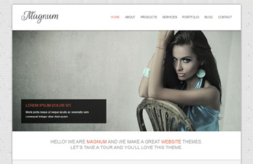 Magnum科技产品响应式英文企业网站html静态模板