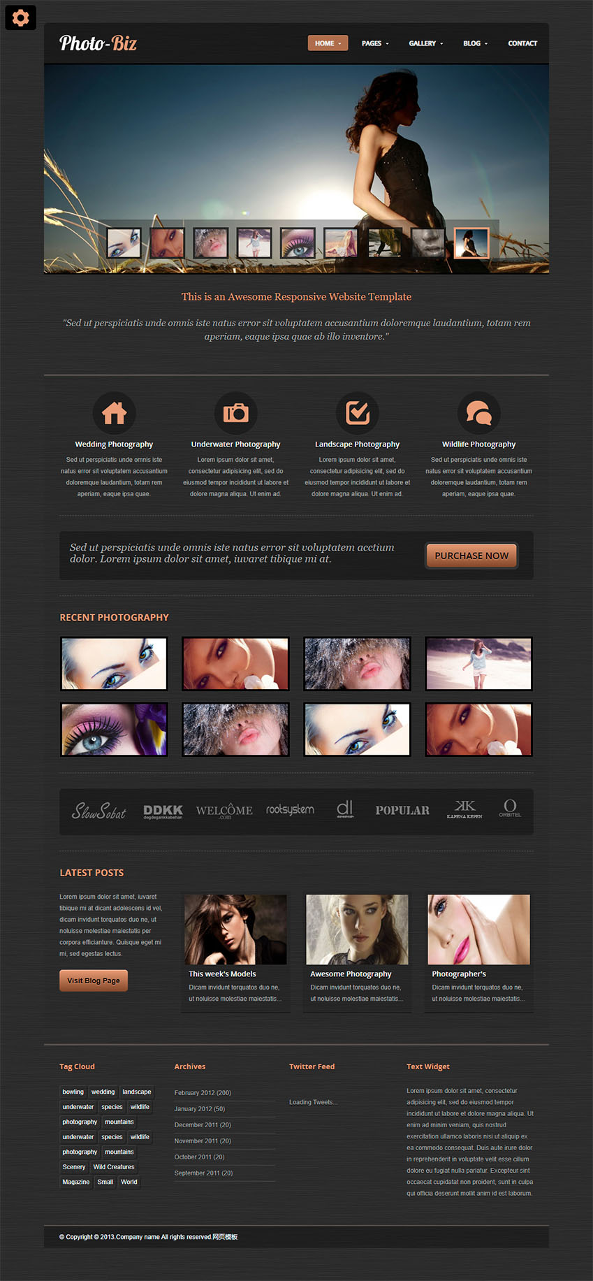 黑色纹理化妆品公司企业网站html静态模板