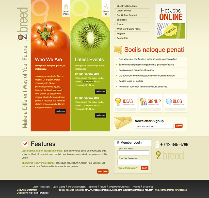 免费创意水果企业网站html模板