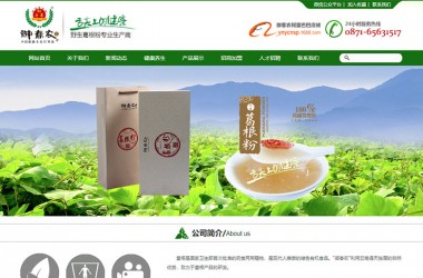 免费绿色农业食品企业网站html模板