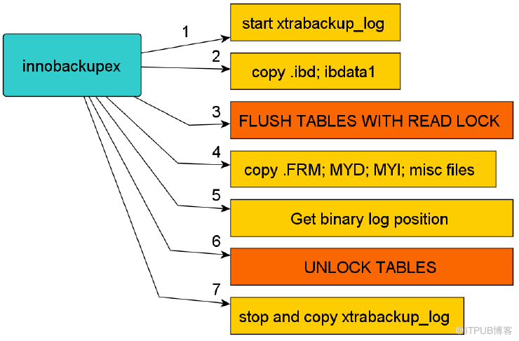 mysql